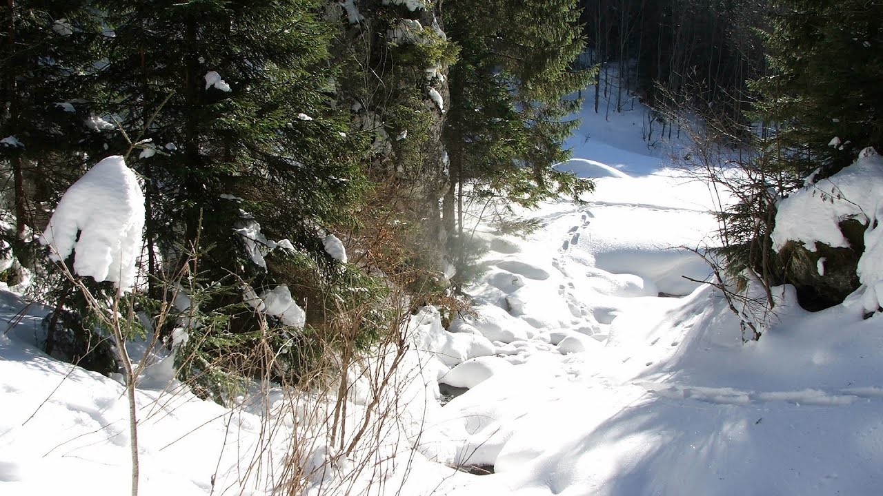 Cu rachete de zapada in valea paraului Tihu - Rastolita